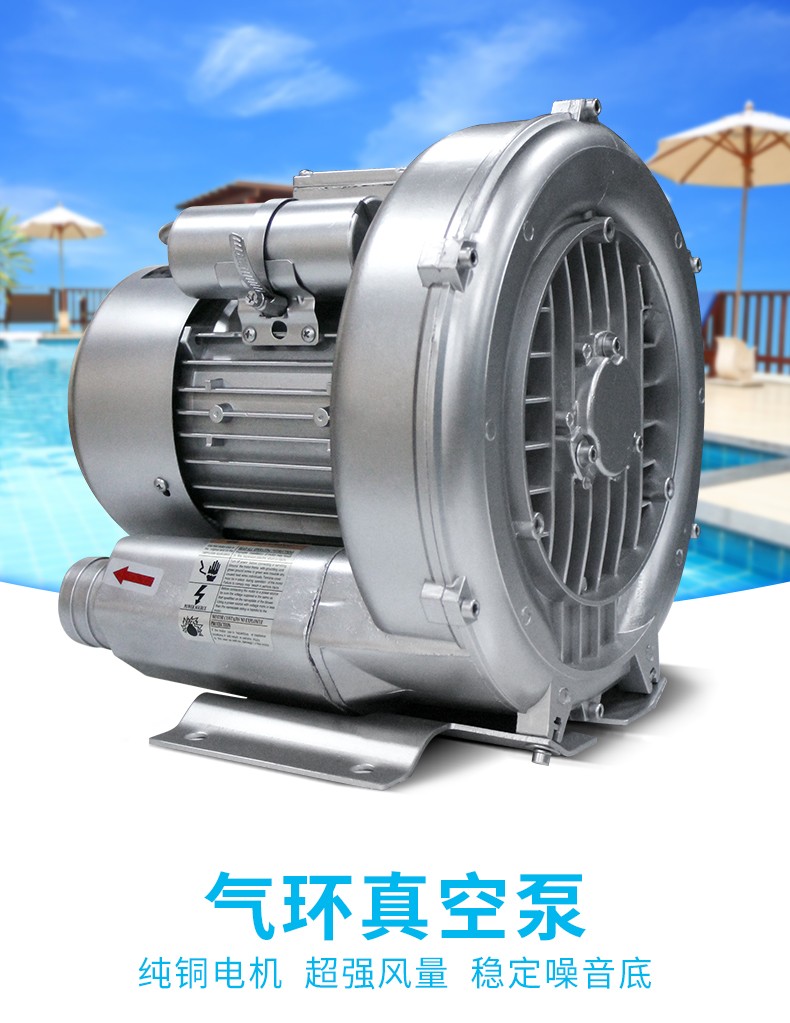 米蘭風(fēng)泵,氣環(huán)真空泵