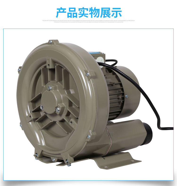 米蘭鼓風(fēng)泵